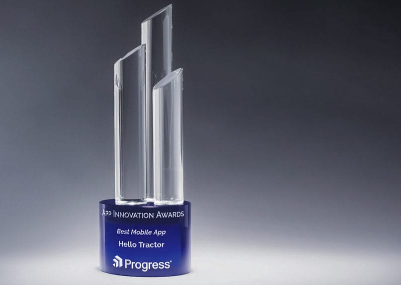 Blue Clear Crytal Corporate Leadership Award